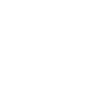 FZH